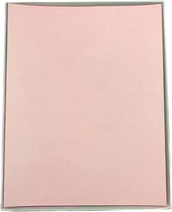 Blumberg's Security Paper (Pink, 100 sheets)