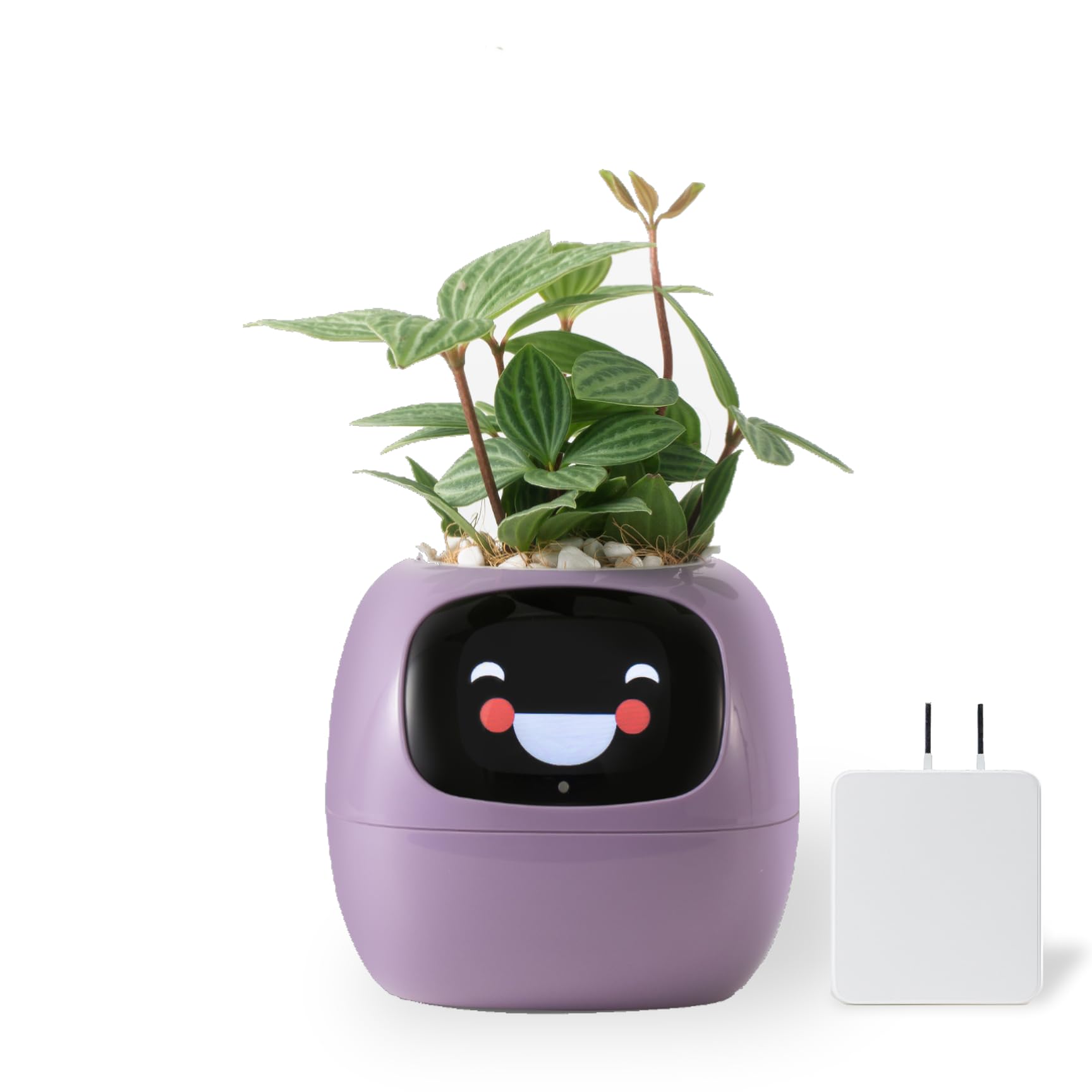 Amazon.co.jp: 【国内販売正規品】 Ivyスマートプランター スマート