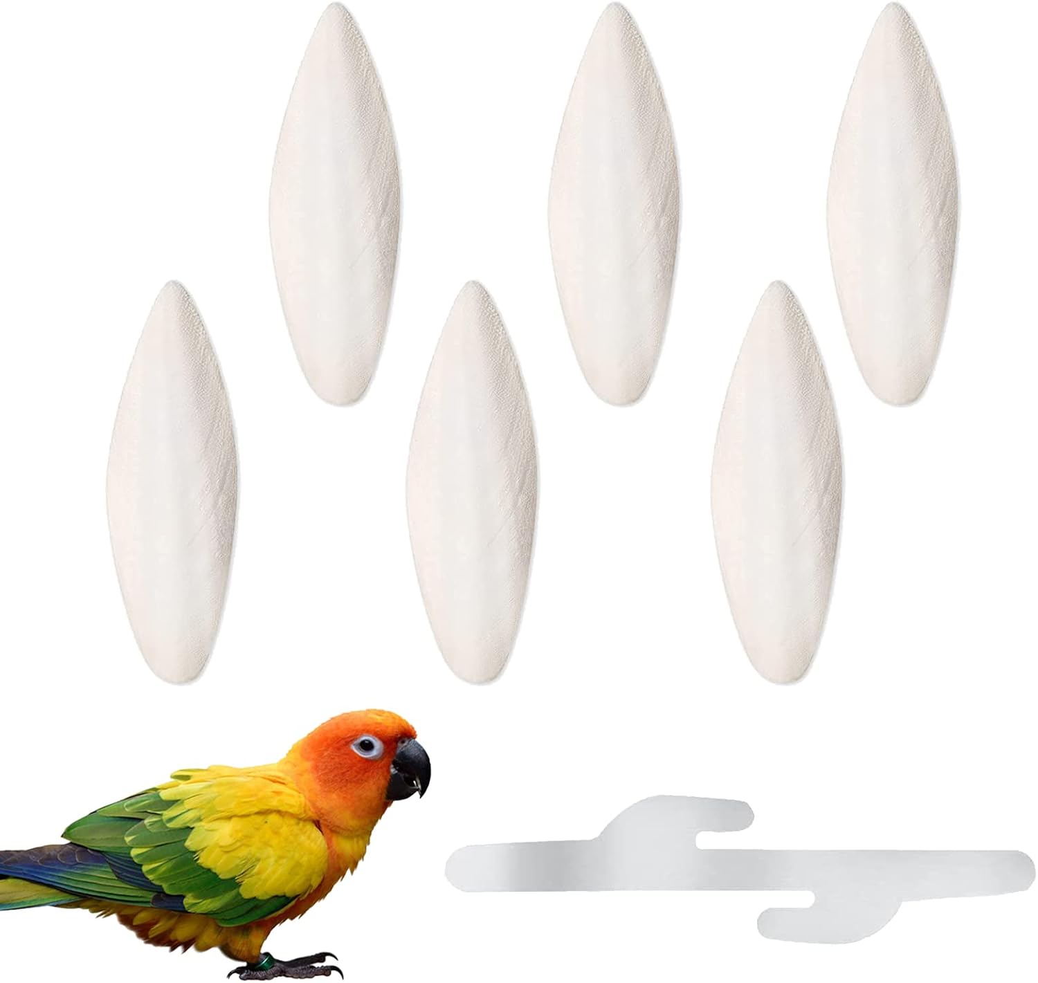 LORELO 6 Stück Sepiaschalen Vögel Kauen Spielzeug Papageien Kauspielzeug Tintenfische Sepia