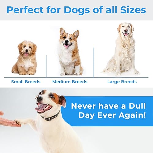 Miniatura 7 de Stride Juguetes de cuerda para perros, juego de 2 juguetes indestructibles para perros, juguetes grandes para masticadores agresivos, ideal para