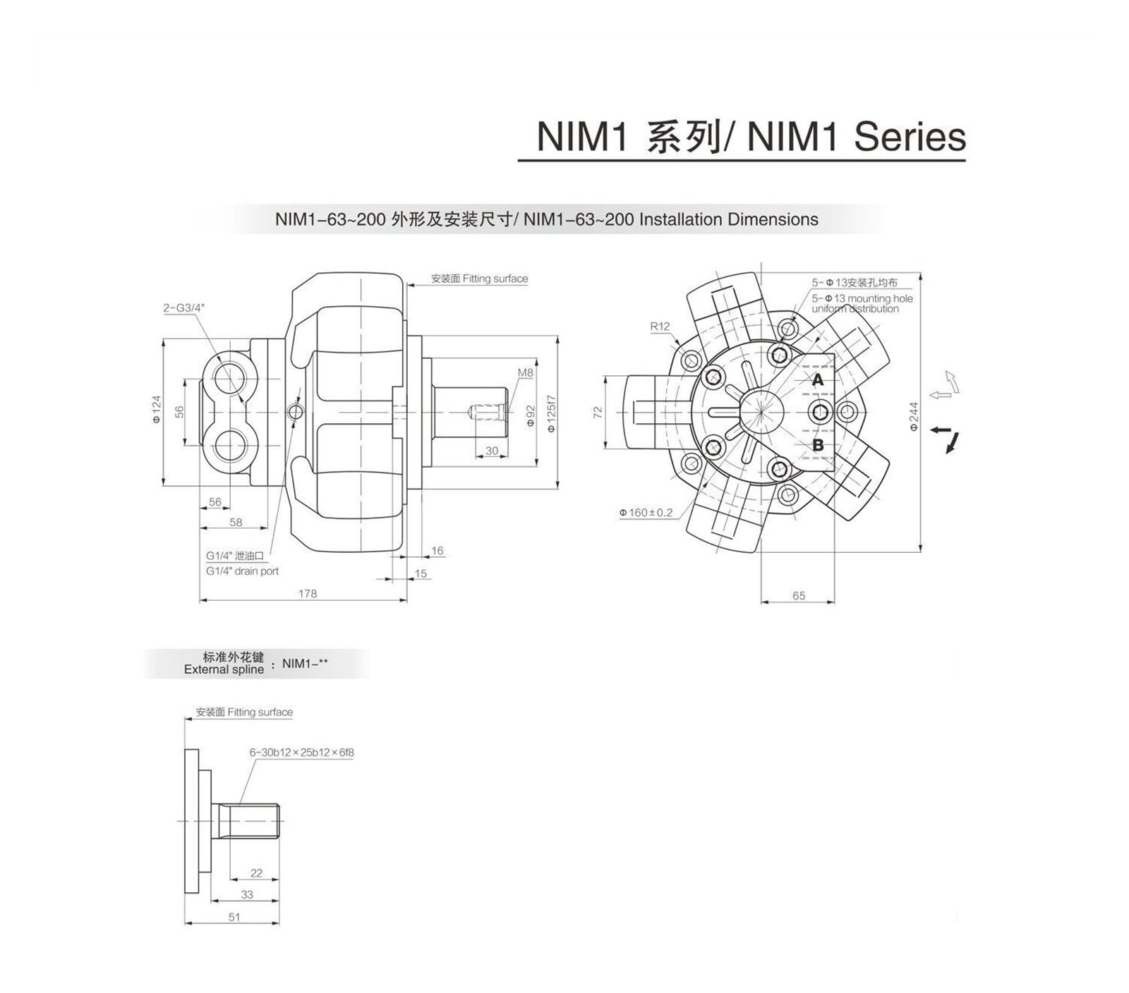 Moteur hydraulique rempli d'huile Five Star, NIM1-63 80 100 125 160 Moteur for machines de moulage par injection(NIM1-125)