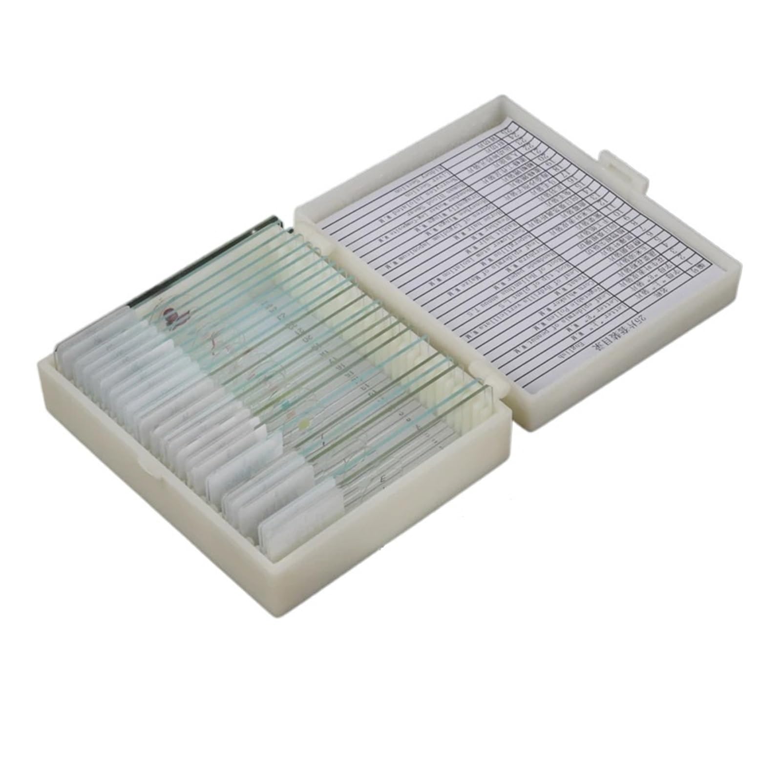 Diversi Tipi di vetrini for microscopio Biologico preparati for Lo Studio 'educazione alle scienze biologiche degli Studenti(50pcs)