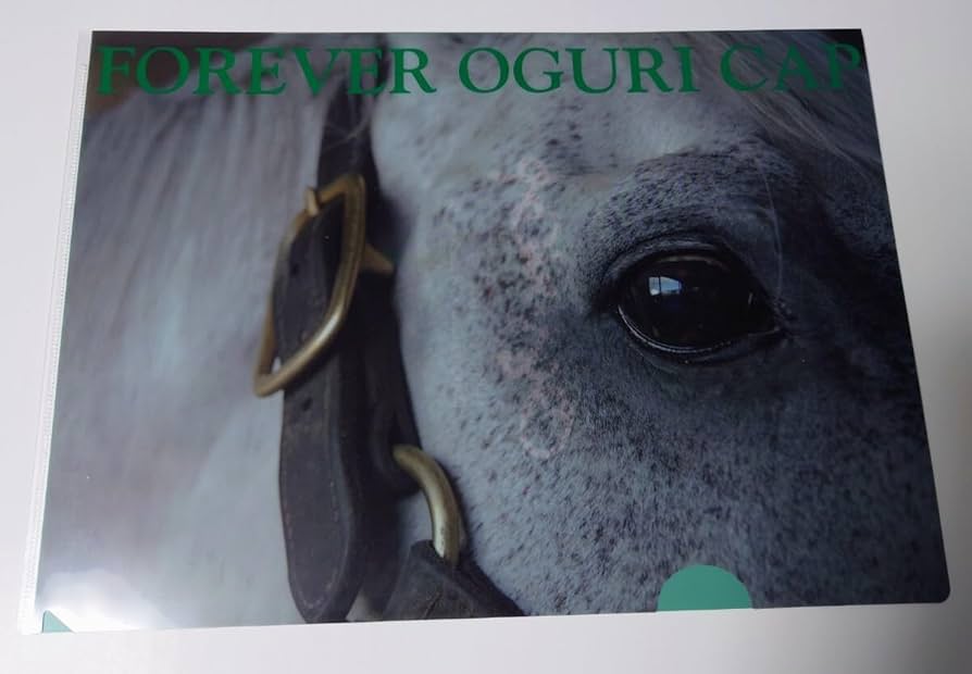 Amazon.co.jp: 競馬 クリアファイル オグリキャップ 優駿