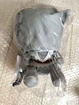 61b6hTcqvSL._AC_UF350,