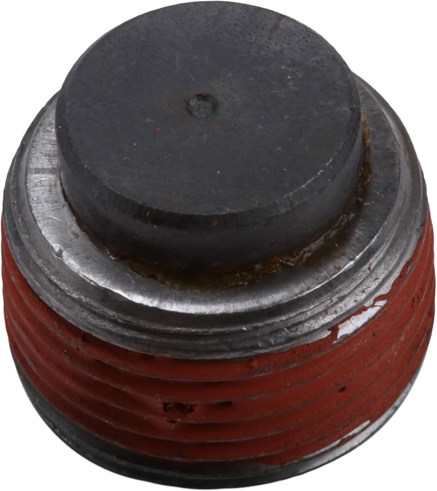 Amazon.com: GM Genuine Parts 19407374 Rear Axle Housing Magnetic