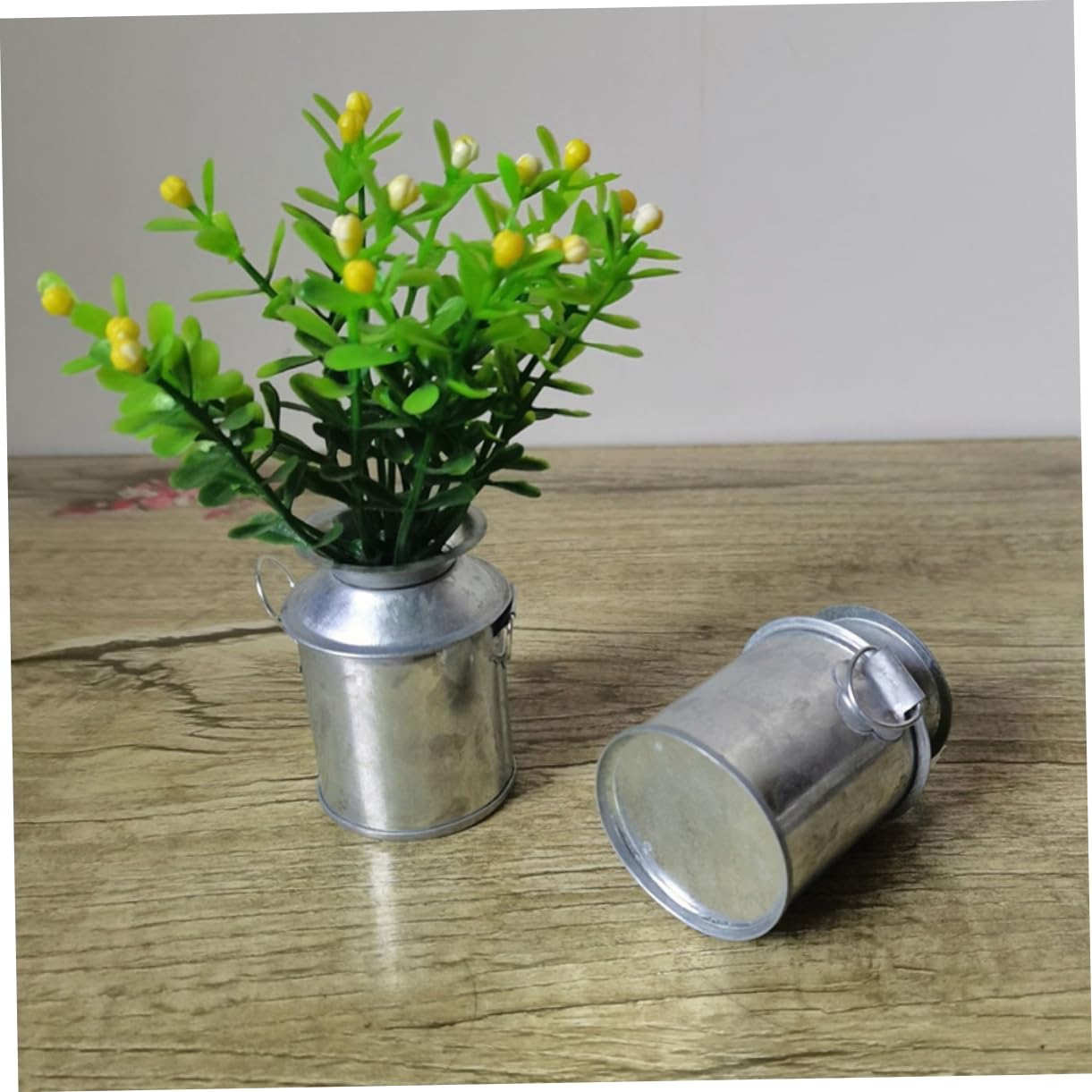 Amazon.co.jp: 3個 多肉植物の植木鉢 金属製のミルク缶水差し