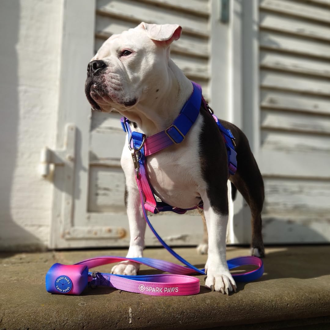 Spark Paws Ensemble laisse et sac à déjections canines de qualité supérieure – Crochet en alliage robuste pour les races puissantes – Confortable, durable et sécurisé – Cône de neige