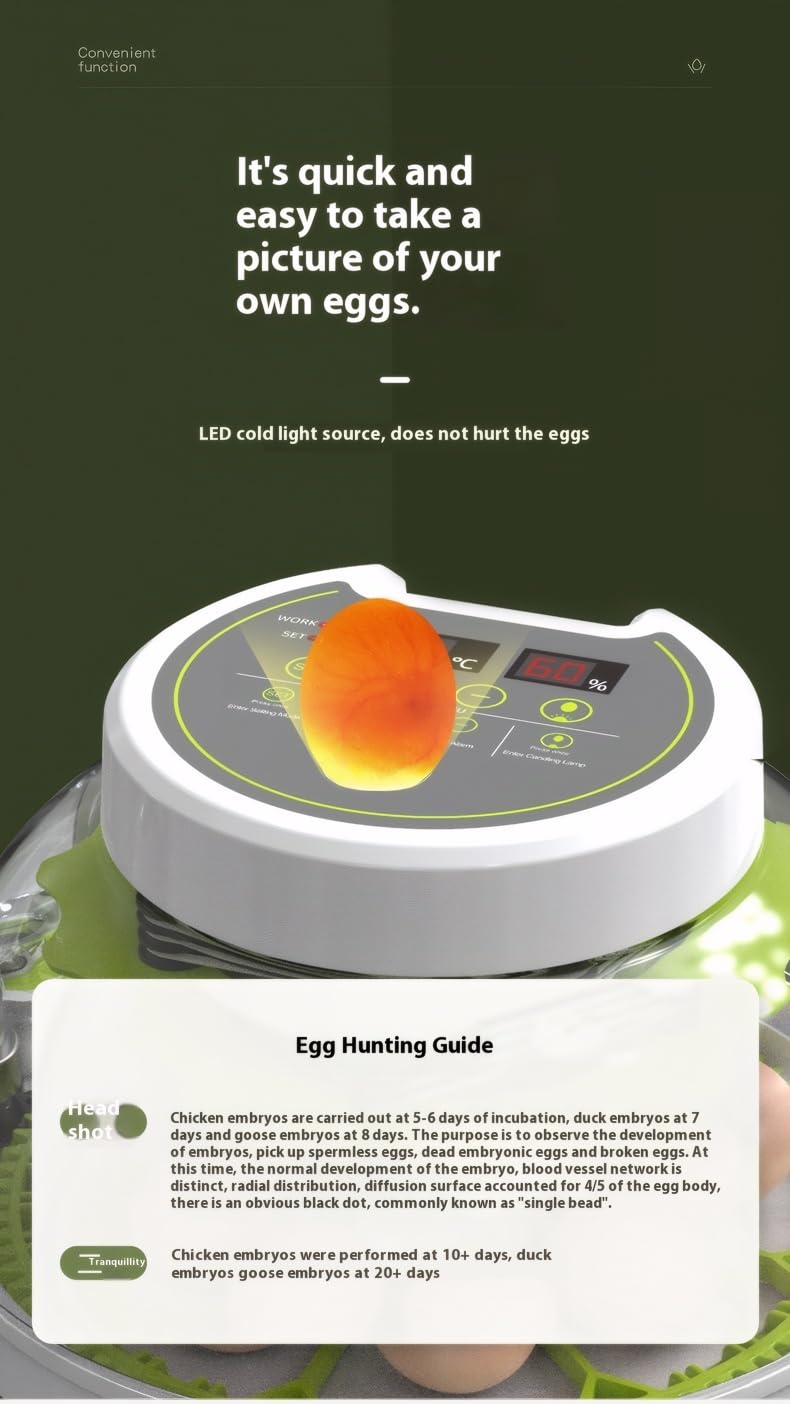 Smart Automatic Egg Incubator with Intelligent Temperature Control and Automatic Turning Egg Tray Energy Efficient Eco-Friendly Easy to Clean Incubators for Hatching Eggs Incubator Chicken Egg