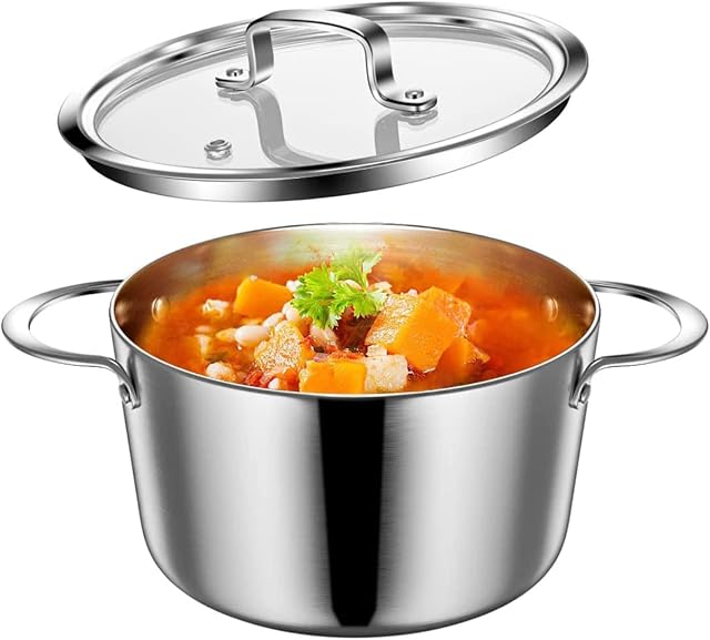 Stainless Steel Induction Pot with Glass Lid, 3L/20 cm, 3ltr Cooking Pot with Clear Lid, Soup Pot, Gas Pot, Compatible with All Heat Sources