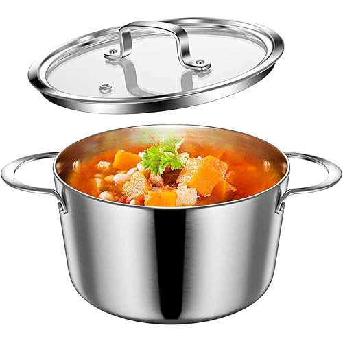 Stainless Steel Induction Pot with Glass Lid 3Qt, 7.9 Inch, Compatible with All Heat Sources, Oven Resistant, Dishwasher Safe, Stockpot Stew Cooking Pot