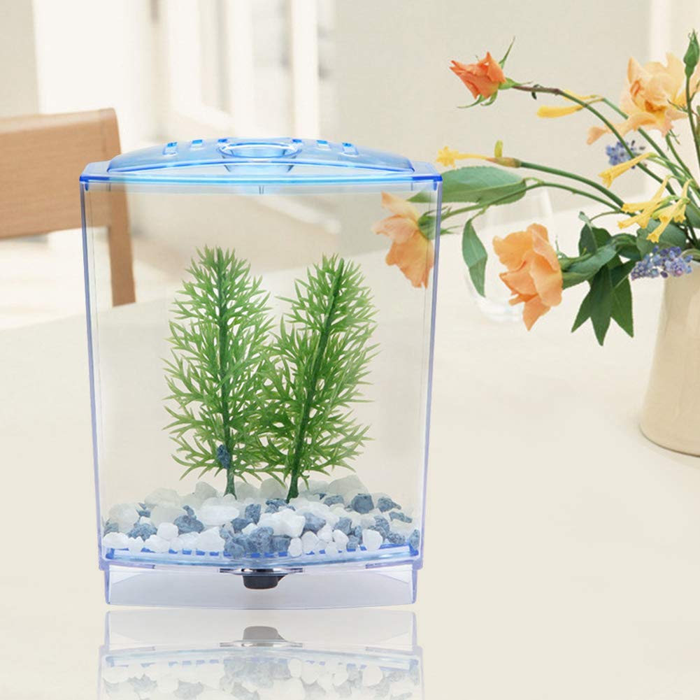 Leftwei Mini-Aquarium, Mini-Aquarium, Transparent, Wasserpflanzen, Zuchtbox, Schlüpfinkubator (einzeln)