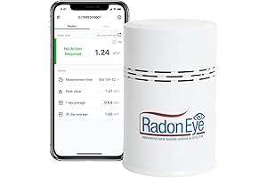 Ecosense RD200 RadonEye: The Radon-Removal Revelation for Your Home