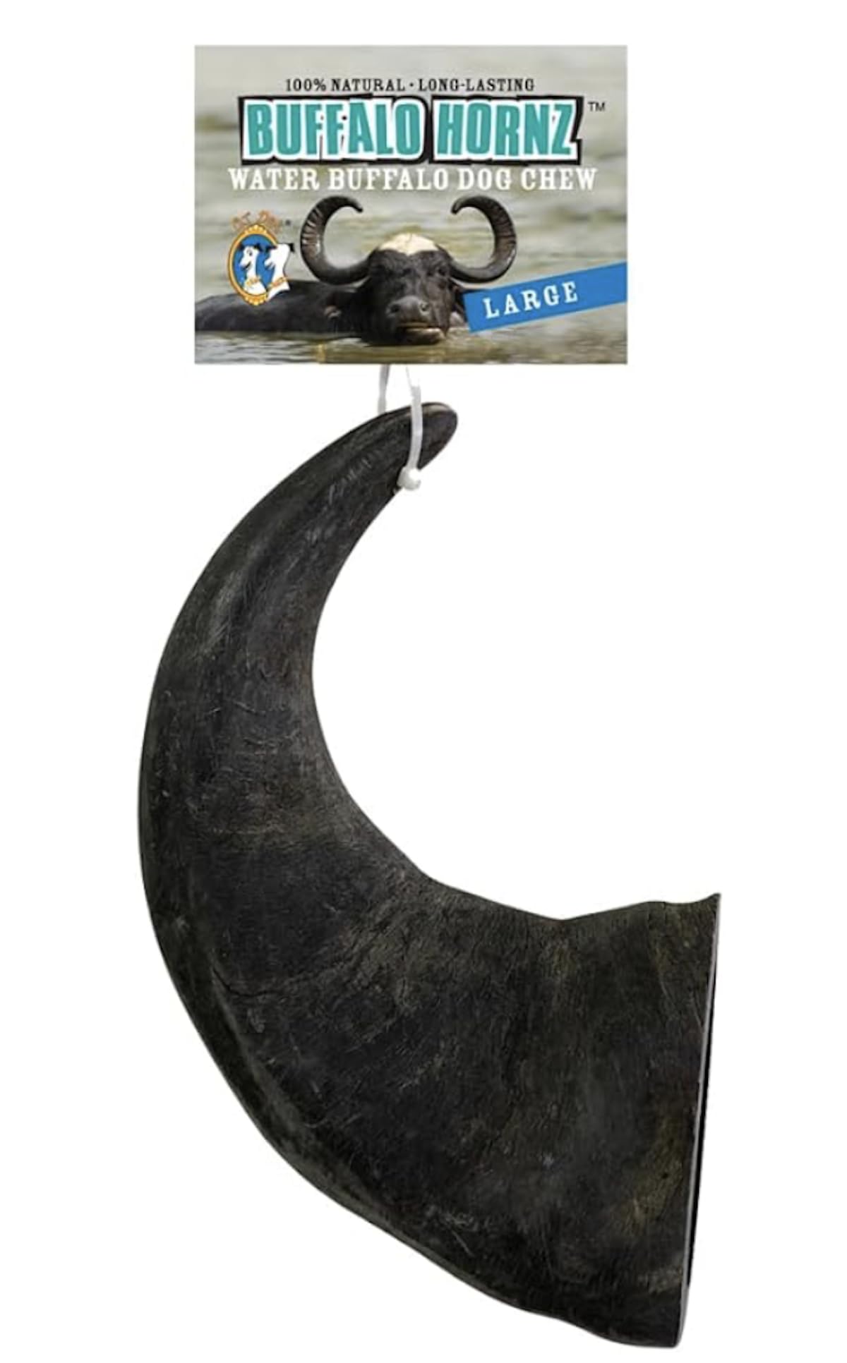 QT Dog Large Water Buffalo Horn - Long-Lasting 100% All-Natural Dog Chew, Ethically Sourced Protein-Packed & Low Fat Dental Chews, Ideal for All Breeds & Aggressive Chewers