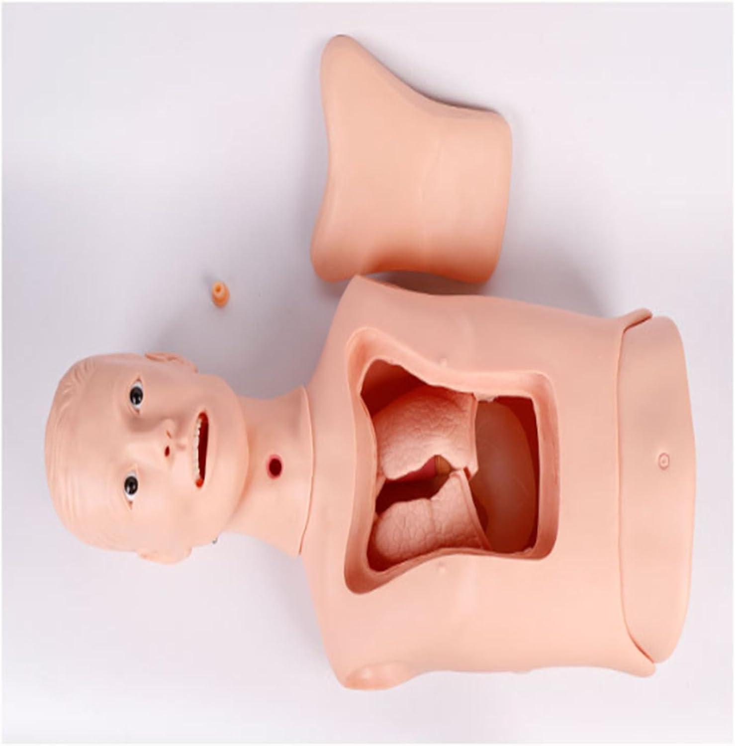 Advanced Nasogastric & Tracheostomy Care Manikin | Intubation Gastric Lavage Training Model for Nursing Students