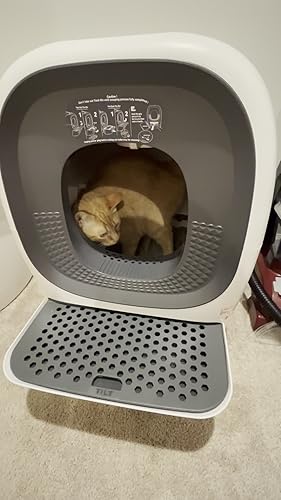 Amazon | LALAHOME 全自動スマート猫トイレ RealScooper Pro