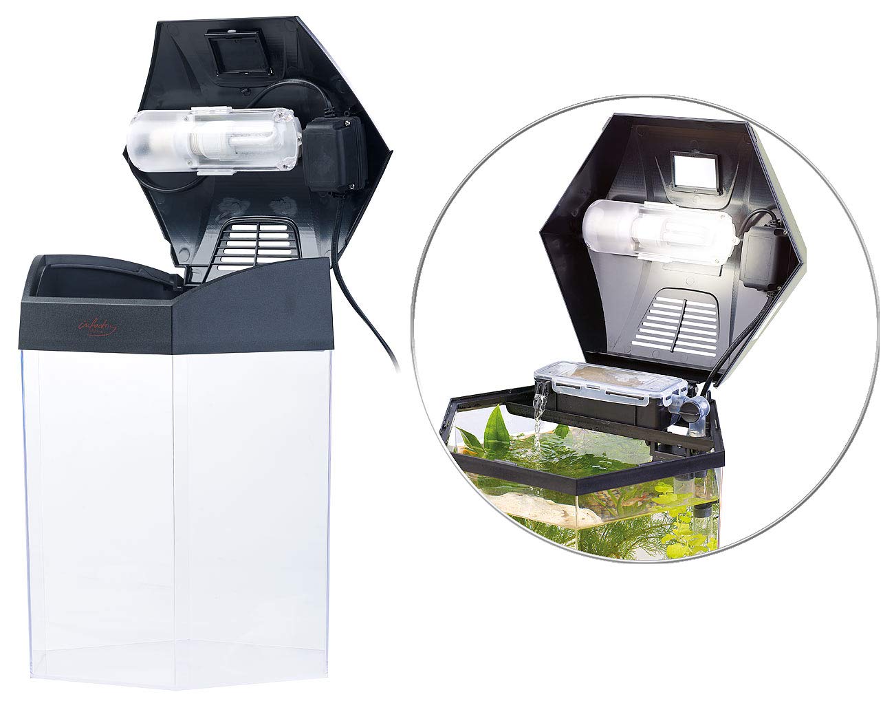 infactory Mini Aquarium Set: Beleuchtetes Panorama-Aquarium Hexagon, Komplett-Set, 19 l (Mini Komplettset, Panorama Komplettset, Eck)