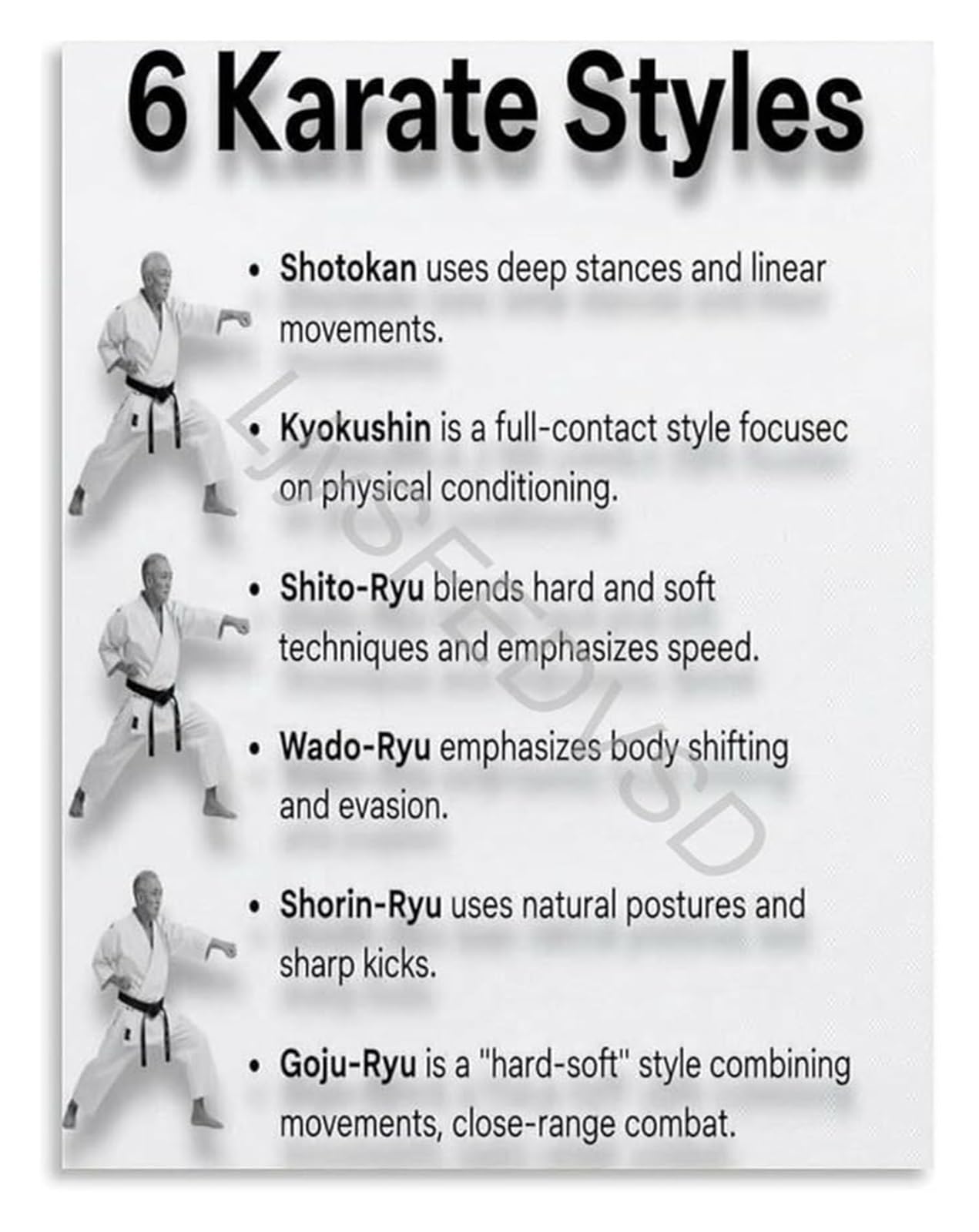 FNYUVNFAF Traditional Karate Styles Chart Martial Arts Learning Poster Wall-Art Canvas for Home Dojo Training Room Unframed,08x12inch(20x30cm)