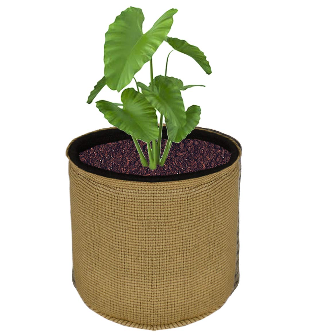HIPPO 3 Pack Grow Bag Heavy Duty 400G Thickened Non-Woven Fabric Plant Growing Pot for Outdoor Garden (Beige-Brown || 8INX6IN) (B084SDHGXW) Amazon Price History, Amazon Price Tracker