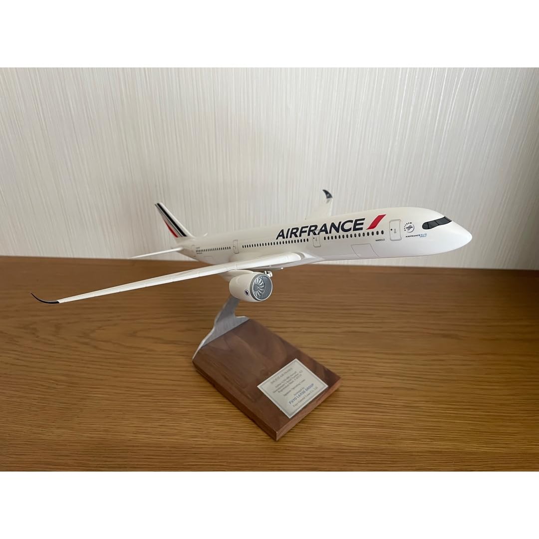 【非売品】PACMIN AirFrance　A350 1/200 Amazon.co.jp: pacmin air FRANCE 1/200 A350ー900 : ホーム＆キッチン