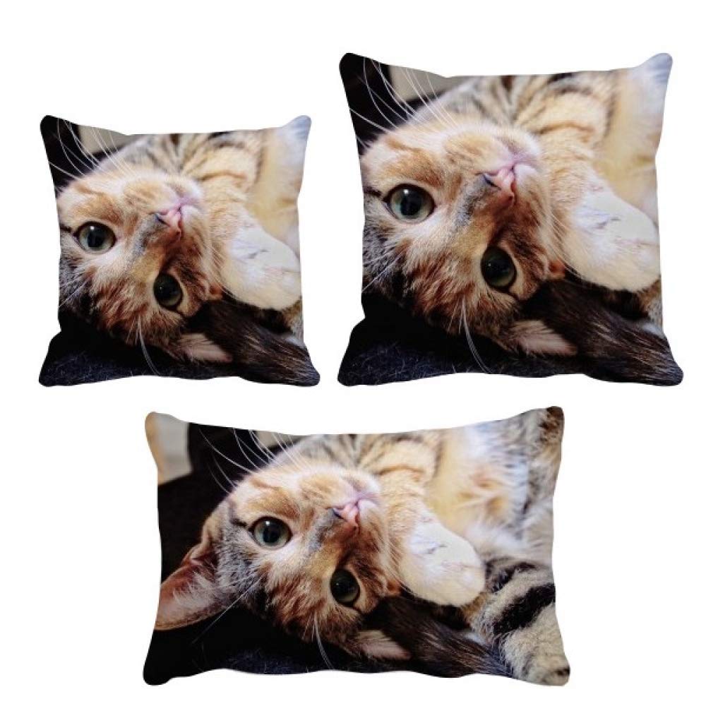 Housse de coussin chat rayures déco canapé salon moderne texturé