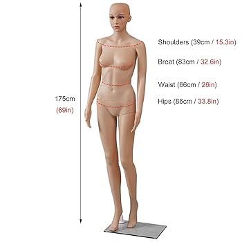 引き取りのみ マネキン 女性マネキンのドレスフォーム Amazon.co.jp: マネキン ドレスフォーム フレッシュ レディース