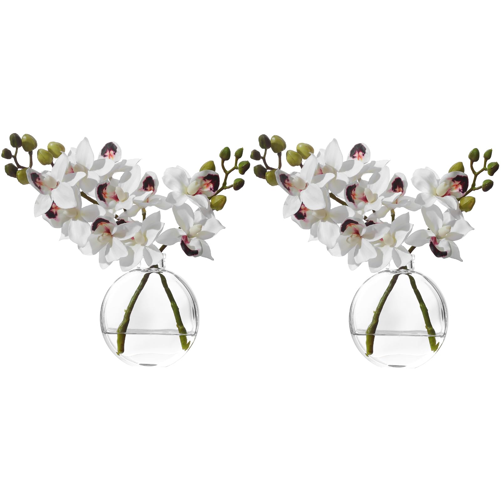 Orchidée blanche en pot de verre pour la table de salle à manger