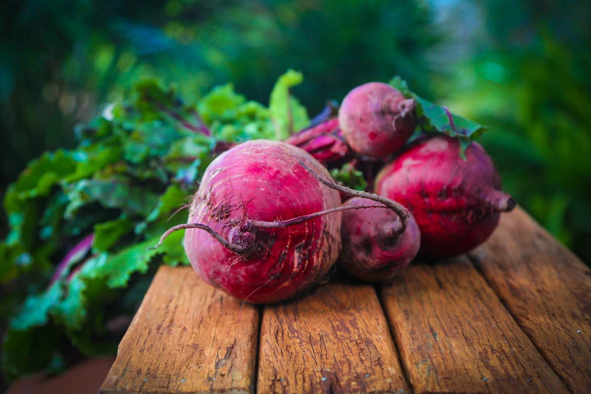 Ponthier ROTE BETE Gemüse-Püree Rote Betemark 1KG für gesunde Gerichte wie Smoothie-Saft Vegane-Saucen-Auflauf Füllungen Eintöpfe aus ausgewähltem Gemüse (6, 1kg)
