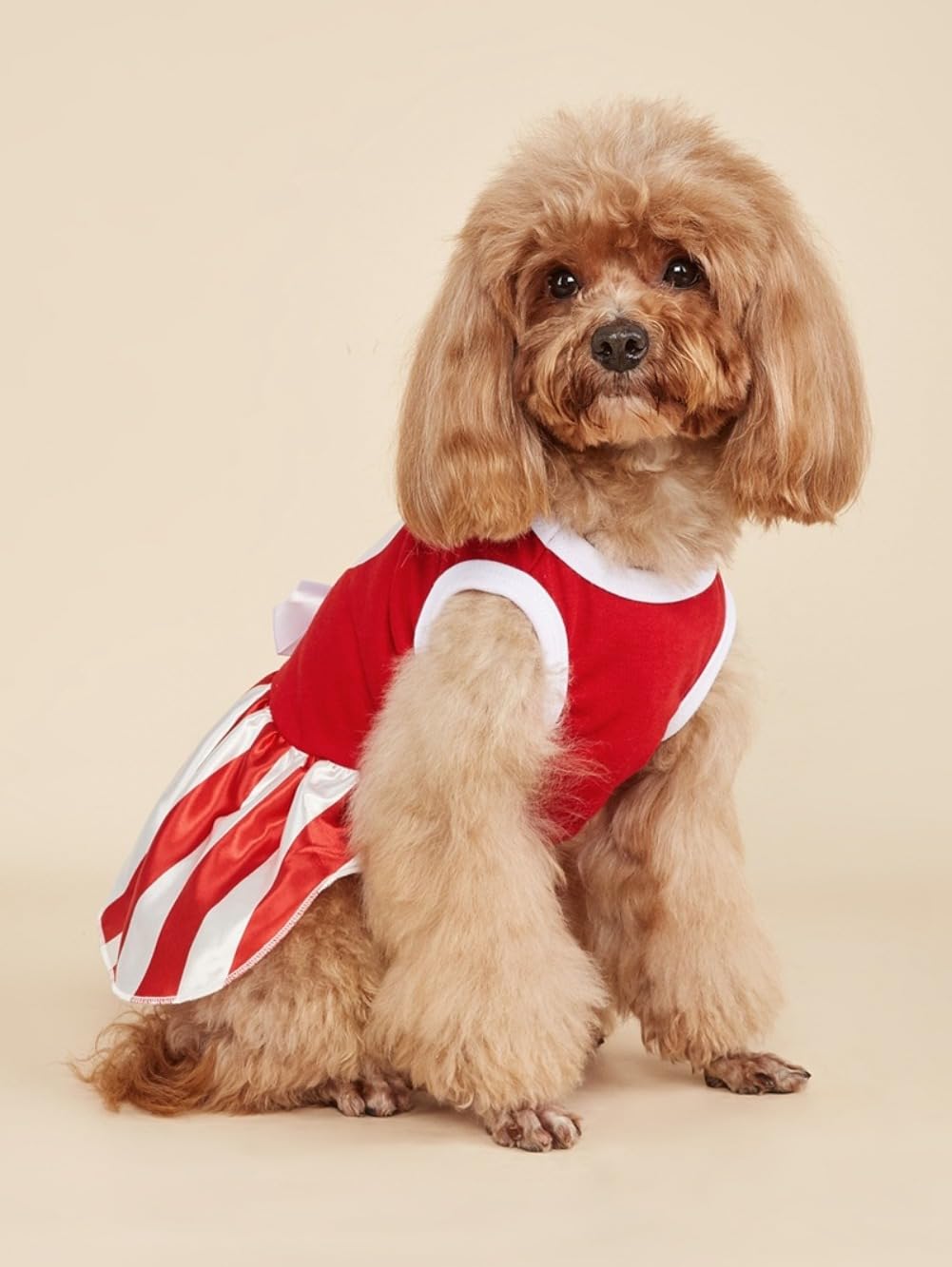 Tangpan Bow-Knot Heart Christmas Pet Skirt Stripes Dog Santa Dress Puppy Party Outfit Apparel Cat Costume (White,M) - Image 3