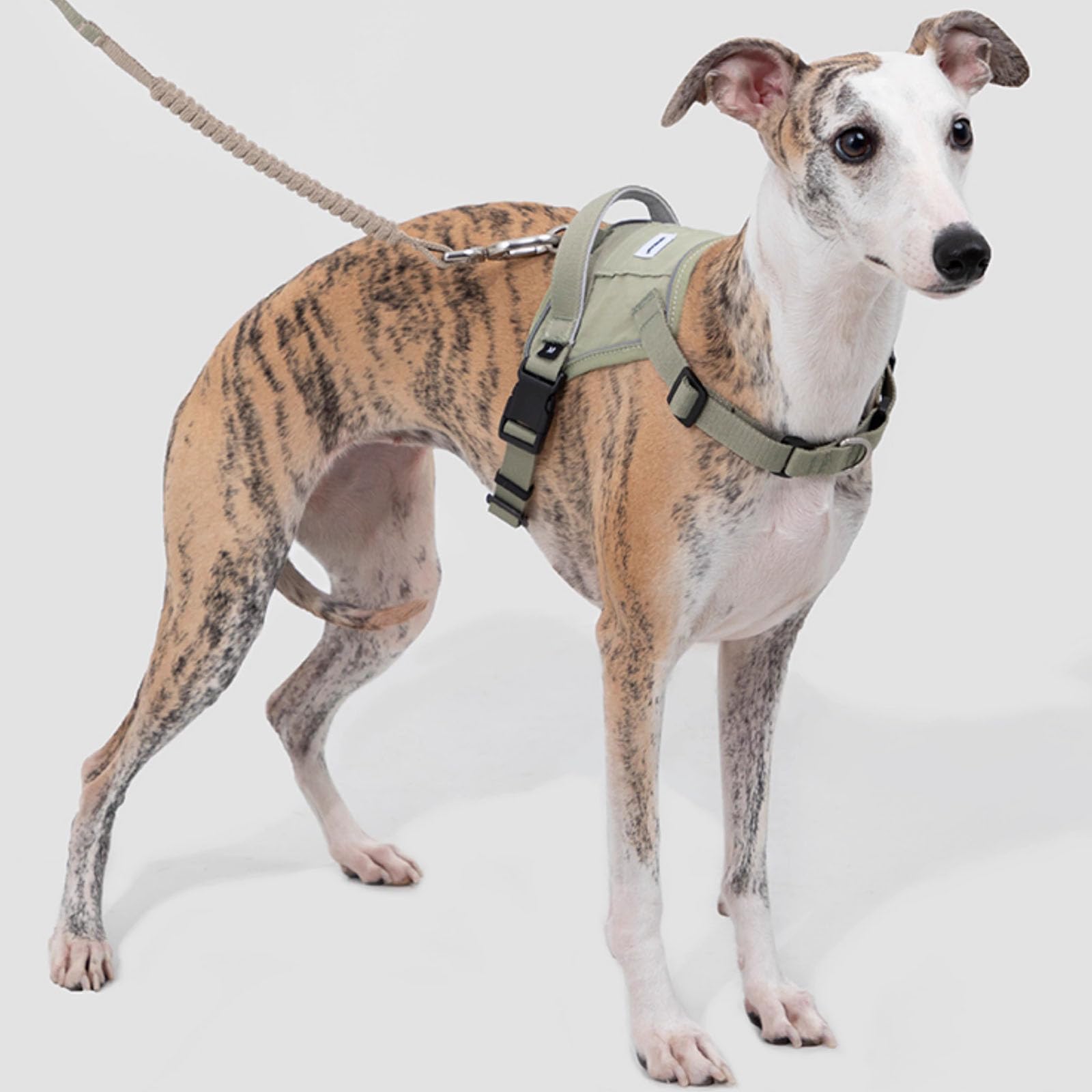 Pettorina Regolabile per Cani, Clip Anteriore Anti-Tiro, Pettorina per Cani con 2 Punti di Collegamento al Guinzaglio, Imbottita, Pettorina Riflettente Tutto in Uno per Cani,Verde,S