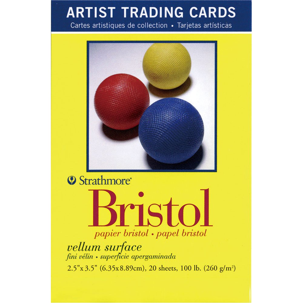 Buy Strathmore 300 Series Bristol Artist Trading Cards, Vellum Surface