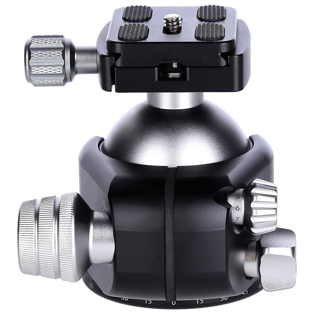 Rollei T7S Markt II Trépied Professionnel 360° avec Friction Capacité de Charge 26 kg Balance pour panoramique et 2 Niveaux à Bulle Compatible avec Acra Swiss Plaque de dégagement Rapide