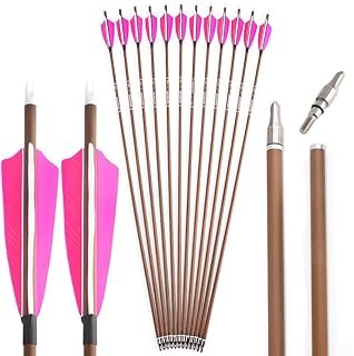 AMEYXGS 31inch Archery Pure Carbon Arrows Target Hunting Arrows Spine 340/400/500/600 with 4â€ Turkey Feathers Removable Tips for Compound and Recurve Bow (Spine 600, Pink, 12)