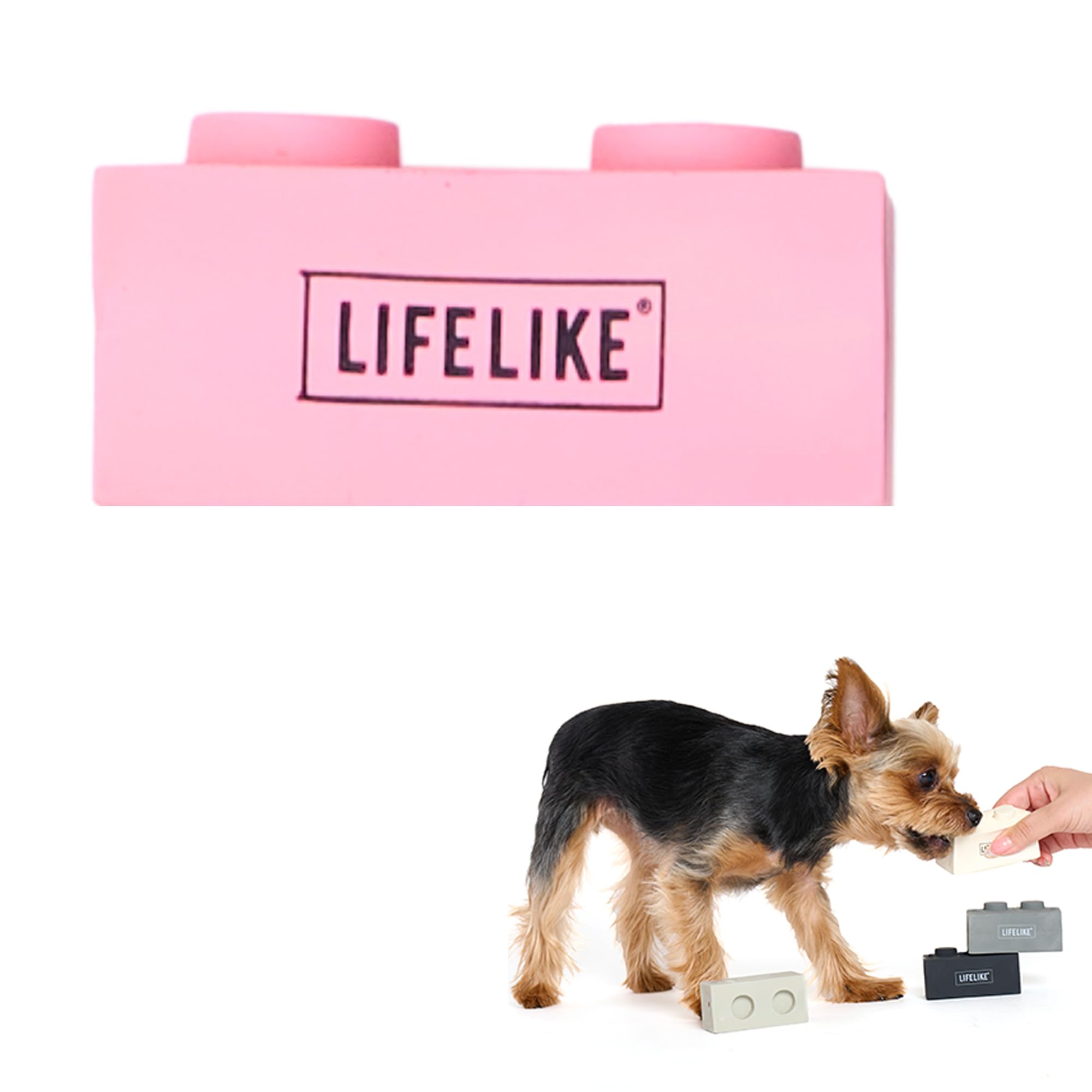 Amazon | 【LIFELIKE公式】ラテックスブロックトイ 犬 グッズ おもちゃ