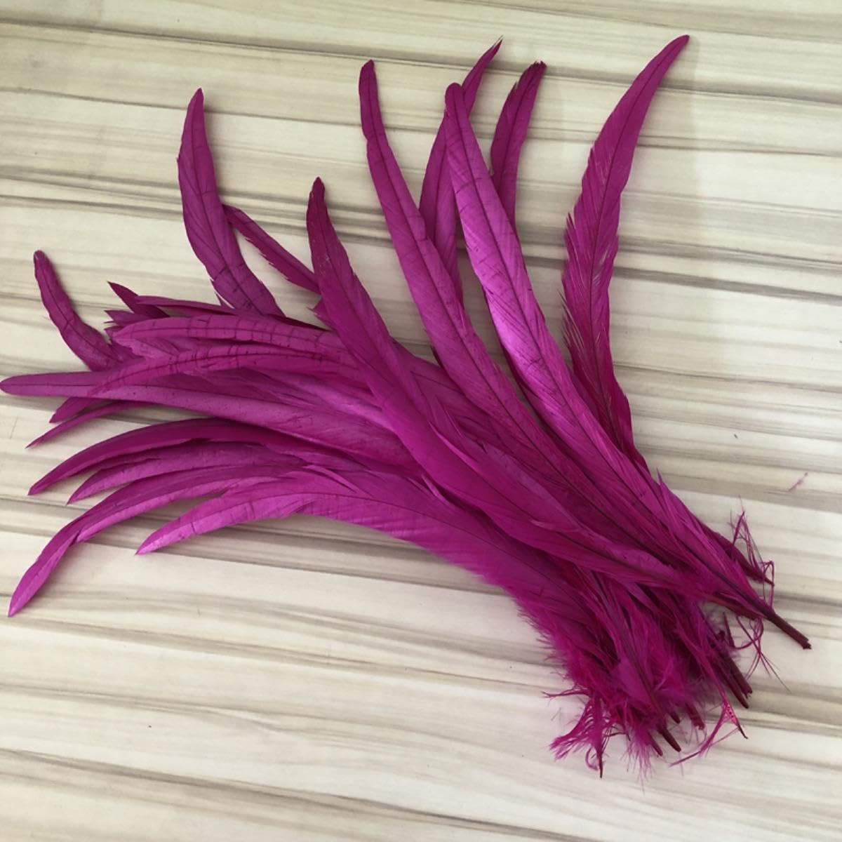 500 Stück Hahnenschwanzfedern in Pink/Fuchsia, 25–30 cm, Hahnenschwanzfedern für Hochzeits- und Weihnachtsdekorationen, Kunsthandwerk, Apfelgrün, 25–30 cm, 100 Stück