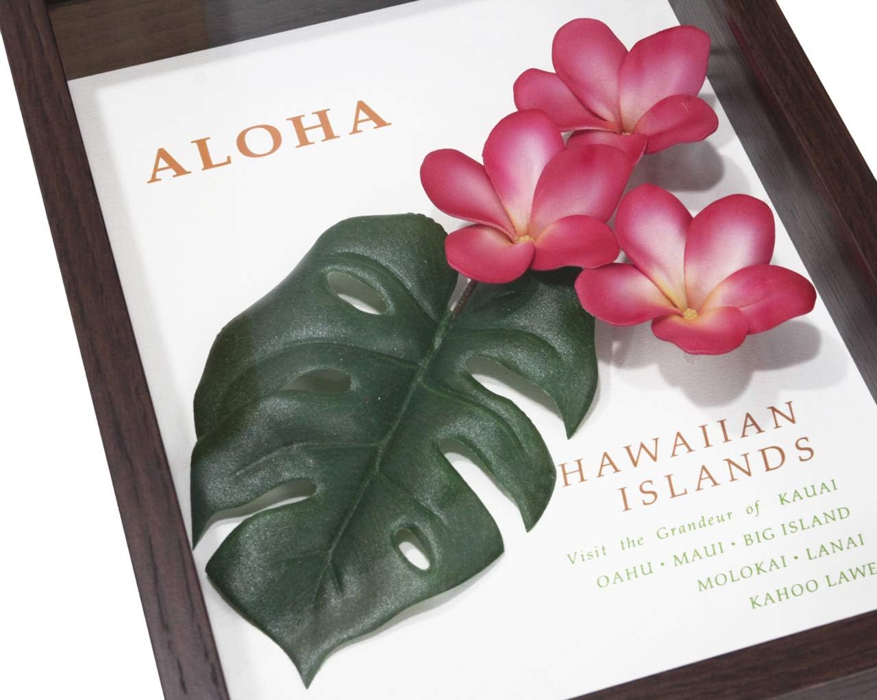 Amazon ハワイアン 雑貨 インテリア ハワイ 雑貨 Aloha アロハ プルメリアフレーム ピンク Zah Holoholo 置物 オブジェ 通販