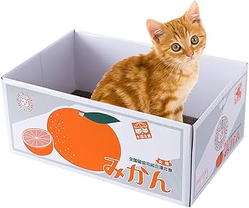 猫石　木箱入り　エキゾチック　美品 Amazon | [ねこタウン] 爪とぎ にゃんボール ねこグッズ 猫 ねこベッド