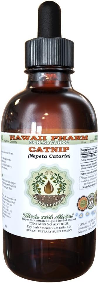 Catnip Alcohol-Free Liquid Extract, Catnip (Nepeta Cataria) Dried Leaf and Flower Glycerite Hawaii Pharm Natural Herbal Supplement 4 oz