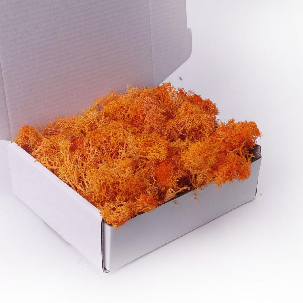 Preserved Moss-3.5 OZ Moss for Crafts Faux Moss Decor Natural Green Moss for Art Wall Florist Decor(Orange 3.5 OZ)-image-2