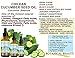 Botanical Beauty CUCUMBER SEED OIL 100% Pure Natural Virgin Unrefined Cold Pressed Carrier Oil 0.33 Fl.oz.- 10 ml or Face, Skin, Hair, Nails