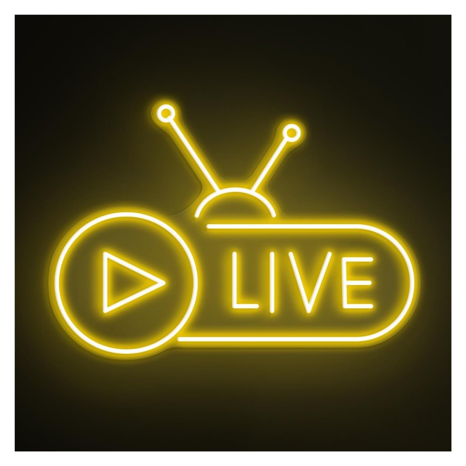 RONGCH Hanging Art Signs Live Neon Sign, Suitable for Broadcast Wall Decor with Brightness Adjustable 43cm