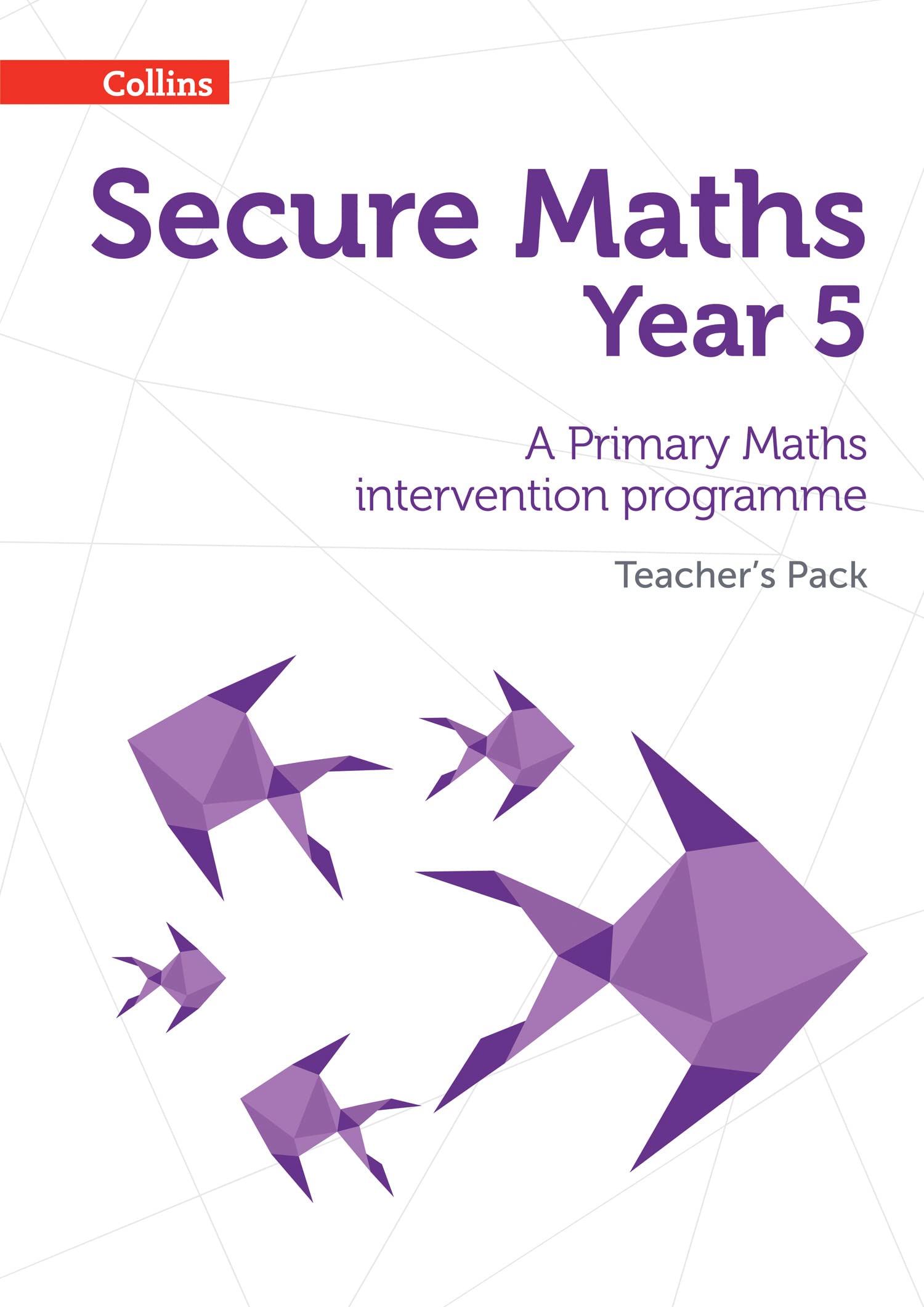 Bobbie Johns Unisex Multicolor Secure Year Maths Teacher's Pack: A Primary Maths Intervention Size 5