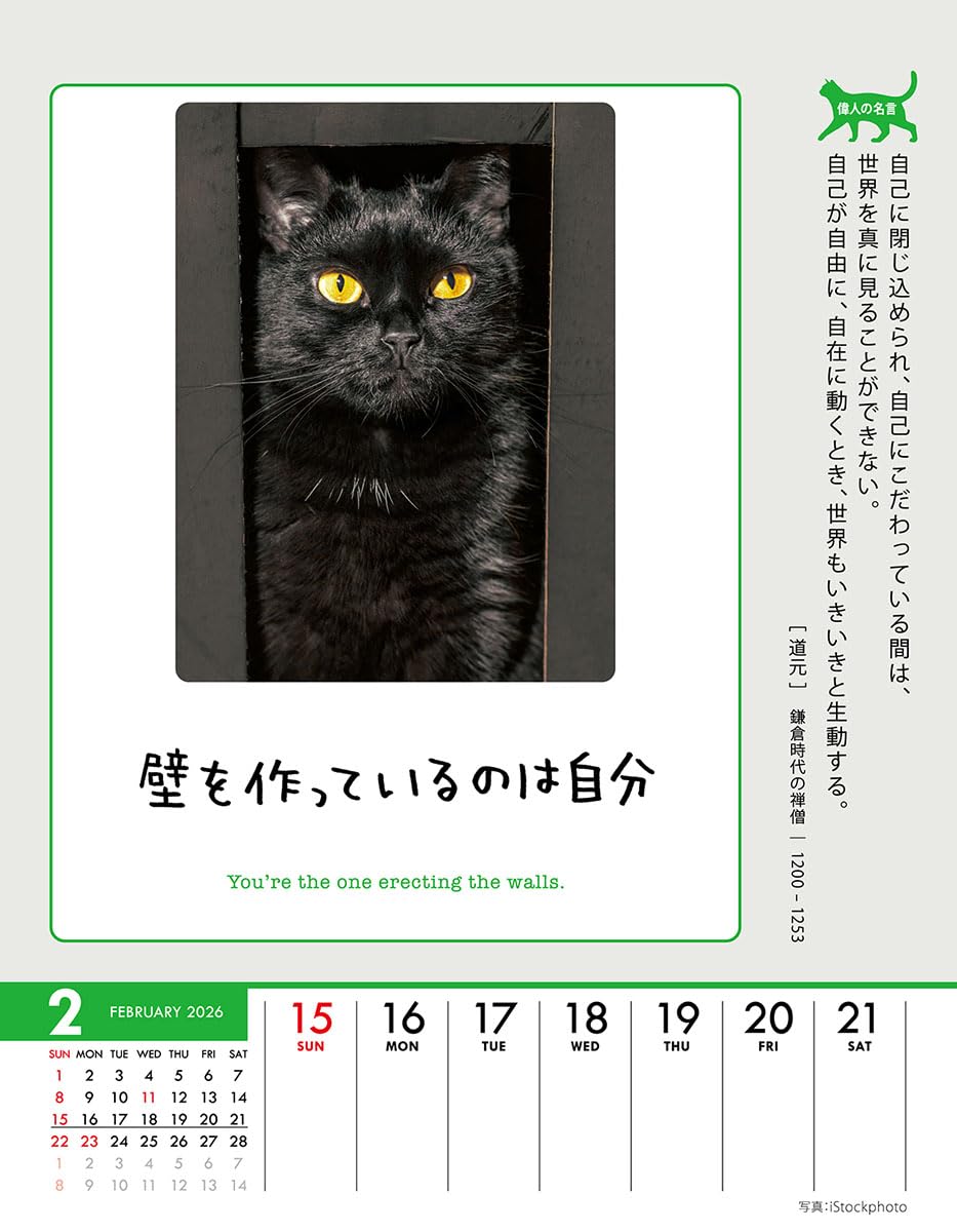 Amazon | トライエックス 人生はニャンとかなる！ 卓上/壁掛 2026年