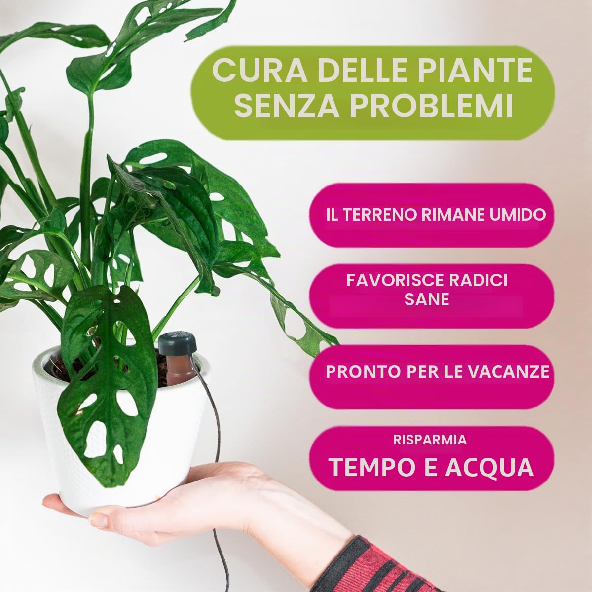 Blumat Coni di irrigazione per piante da interno ed esterno, sistema di irrigazione a goccia automatico per piante in vaso, aiuto per la cura delle piante da interno (confezione da 12)