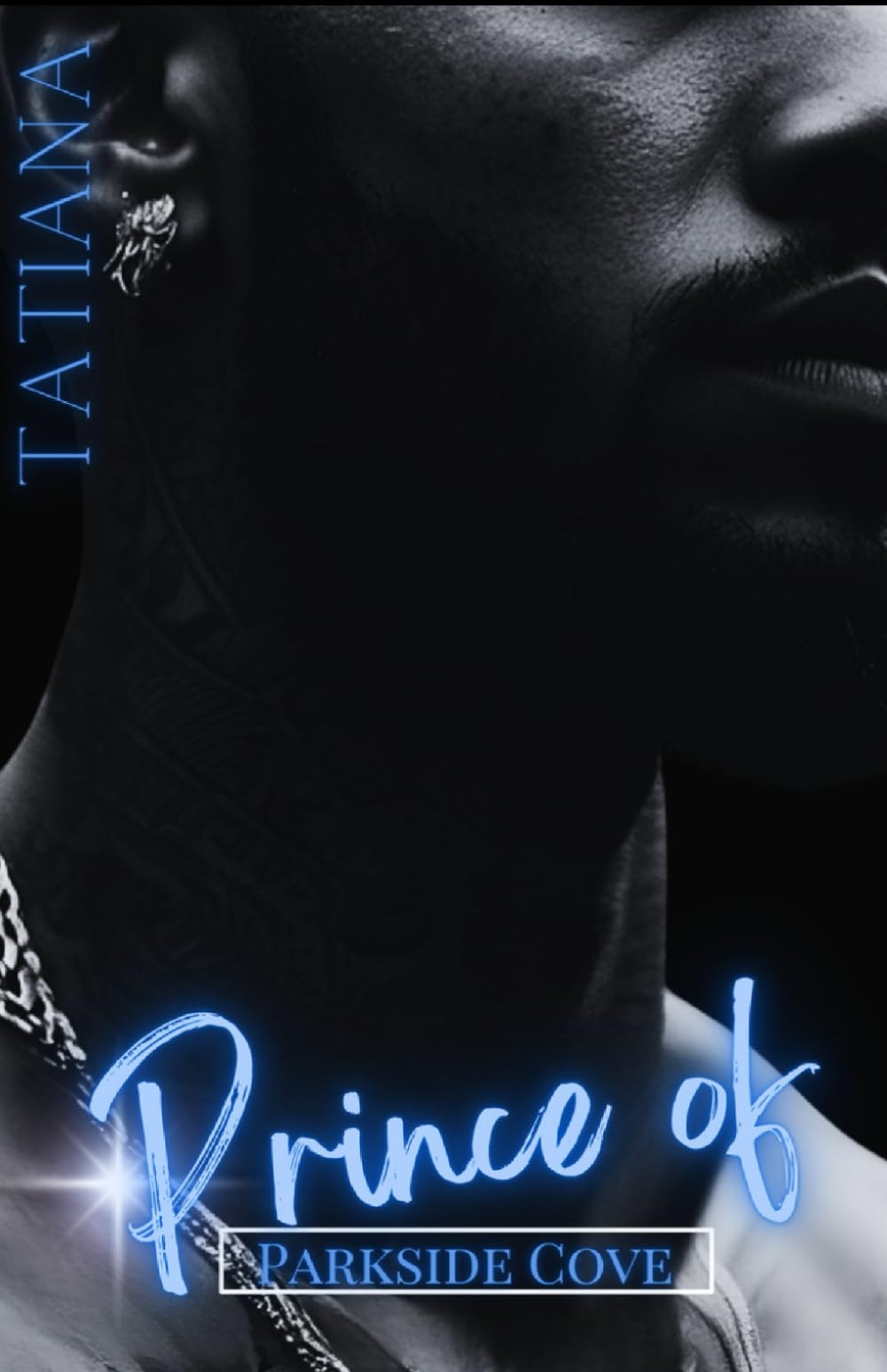 Prince of Parkside Cove: Book I (Parkside Cove Series)