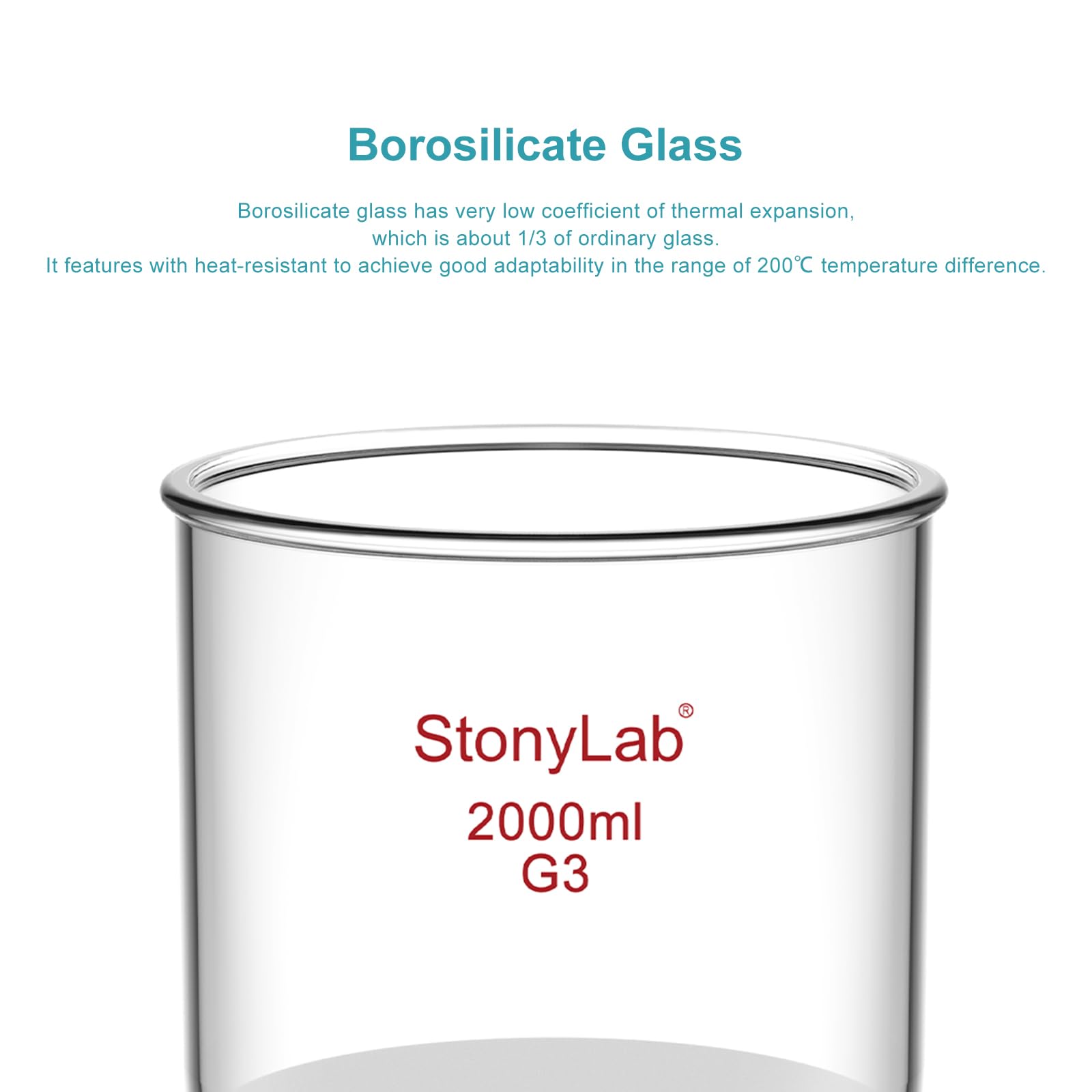 StonyLab Embudo de filtración Buchner con frita fina, diámetro del disco de 155 mm, profundidad de 145 mm, con junta interna cónica estándar 24/40 y tubulación dentada al vacío (2000 ml)