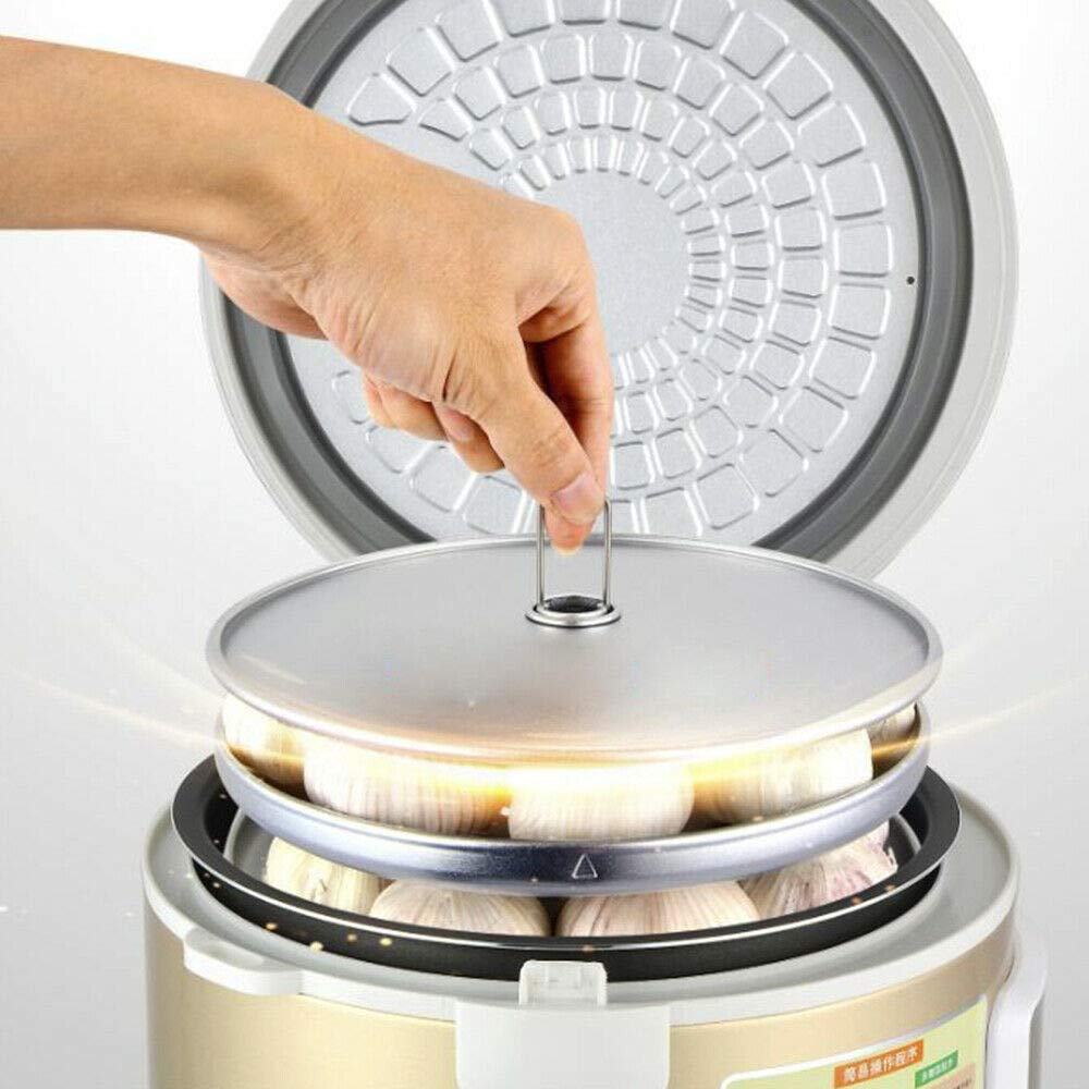 Fermentador de ajo negro 5L automático inteligente Garlics Maker 30x30x31.8 cm