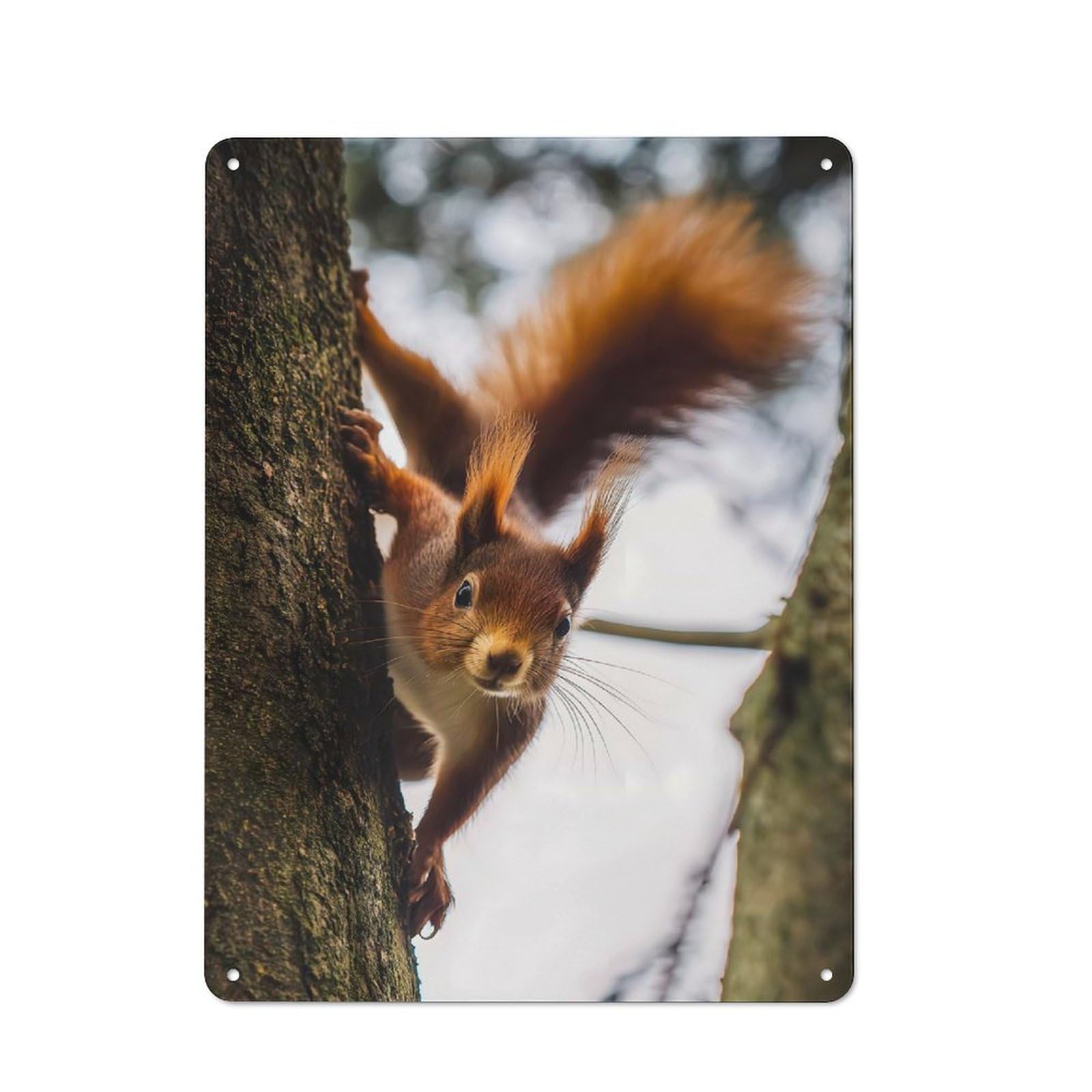 Everyday Squirrel Climbing A Tree Metal Gift Sign 40x30cm, Room Wall Plaque for Home, Shop, Pub Or Studio Wall