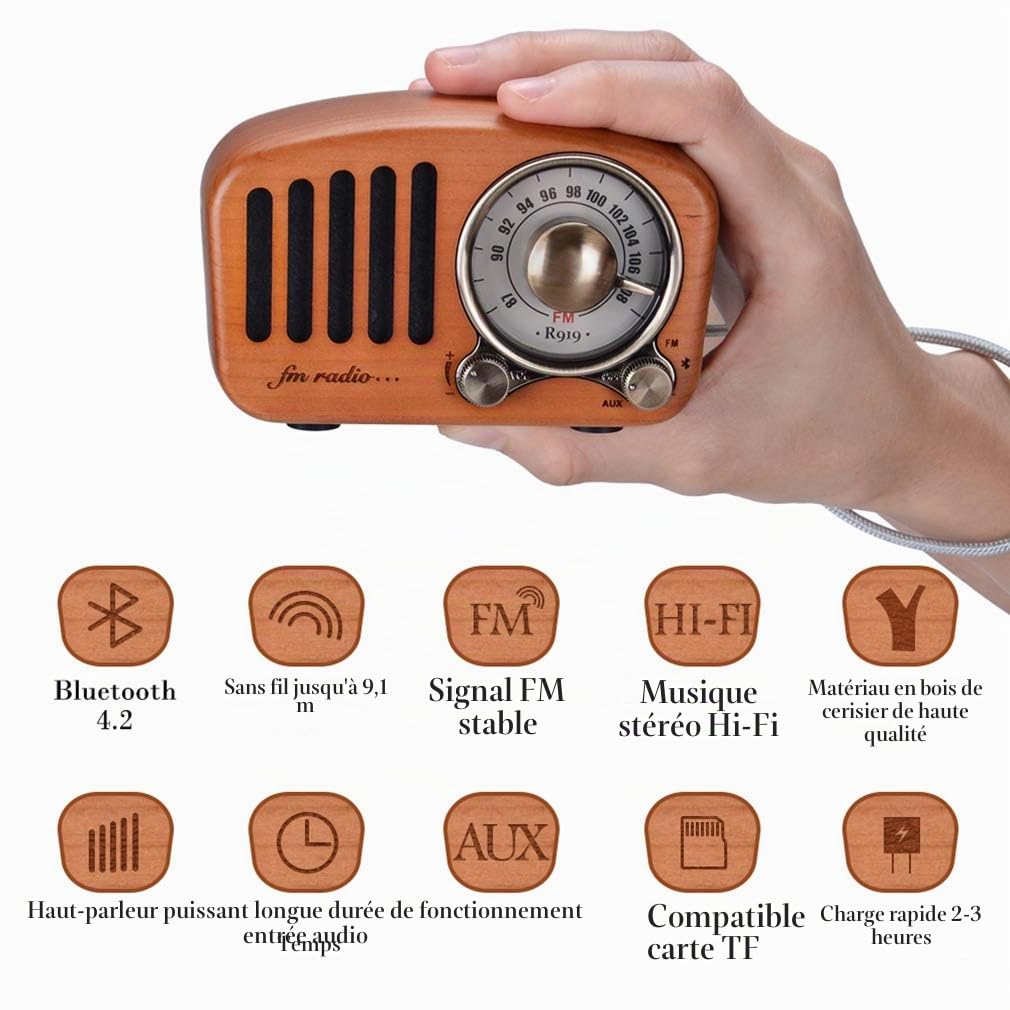 Qoosea Radio Portable Haut-parleurs Bluetooth Faits à la Main Rétro en Bois Bluetooth 4.2 Mini Haut-Parleur avec Caisson de Basses Super Graves avec Radio FM Prise D’entrée Audio (R919)