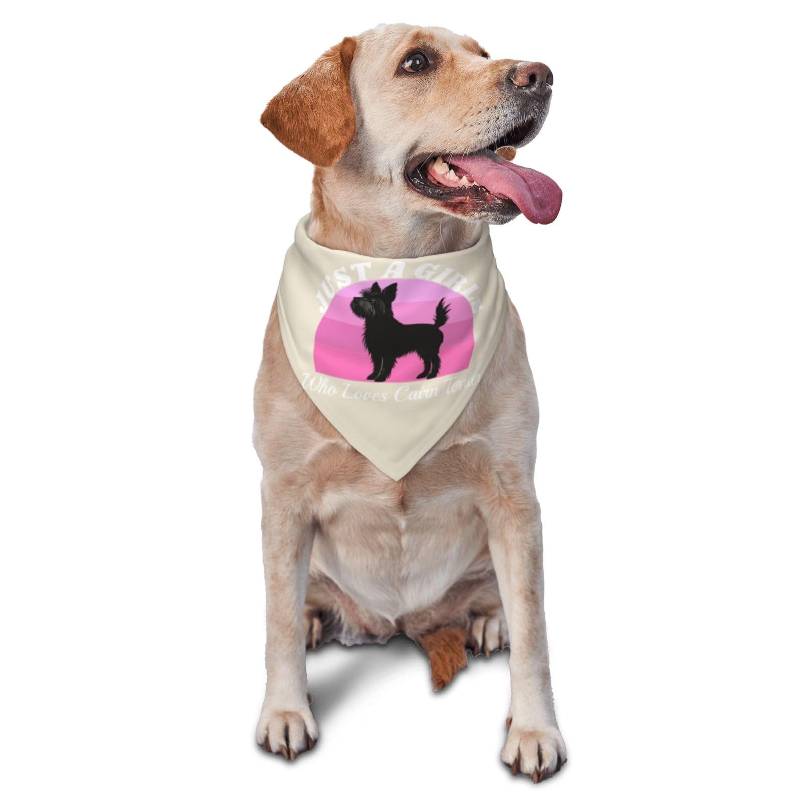 Just A Girls Who Loves Cairn Terrier Dog Scarf Pet Bandana Cat Pet Bibs