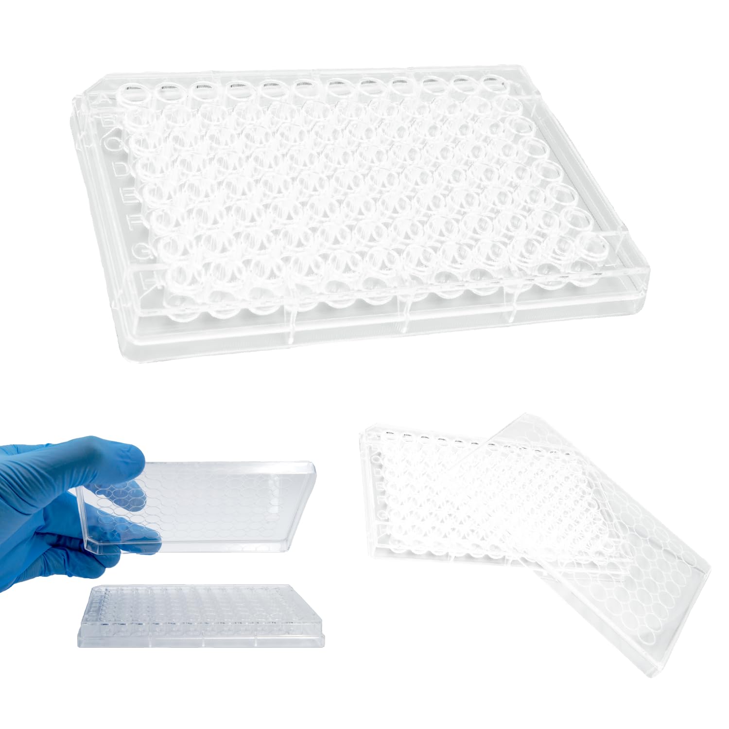Kashi Scientific Clear 96-Well Microplate with Lids, 250ul Sterile